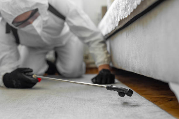 Professional Cockroach Control technician working in Clearlake Oaks, CA