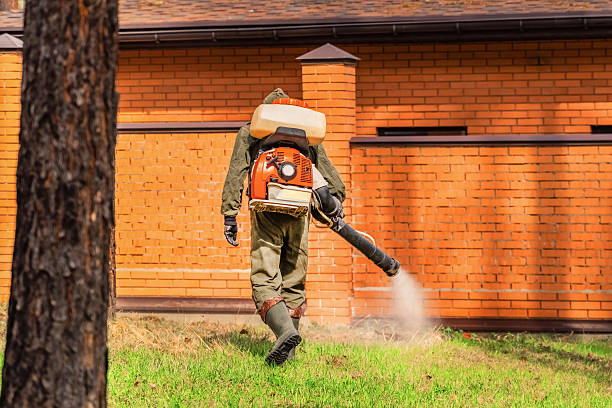Trusted Bed Bug Control service in Clearlake Oaks, CA - Nex Pest Control